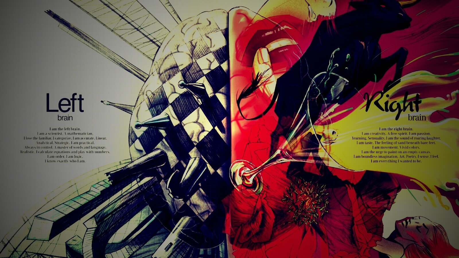 Левая и правая часть мозга обои