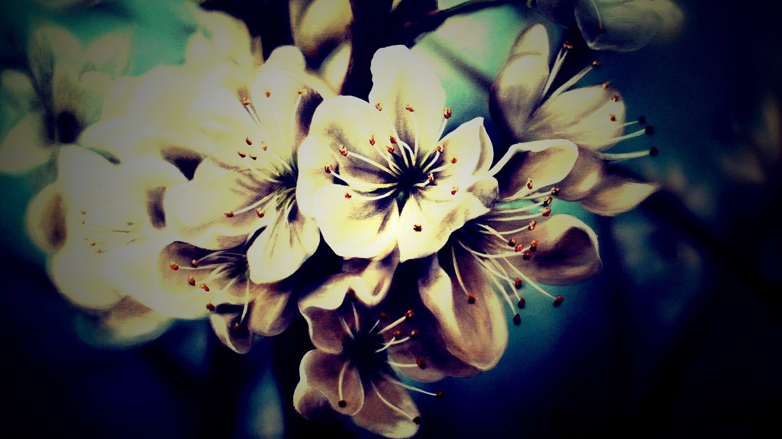 Яблоня в цвету картина обои