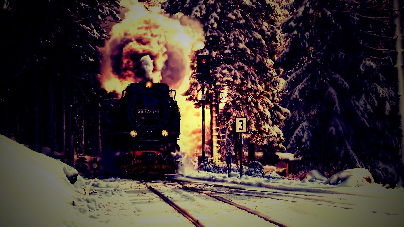 Паровоз в димнем лесу обои