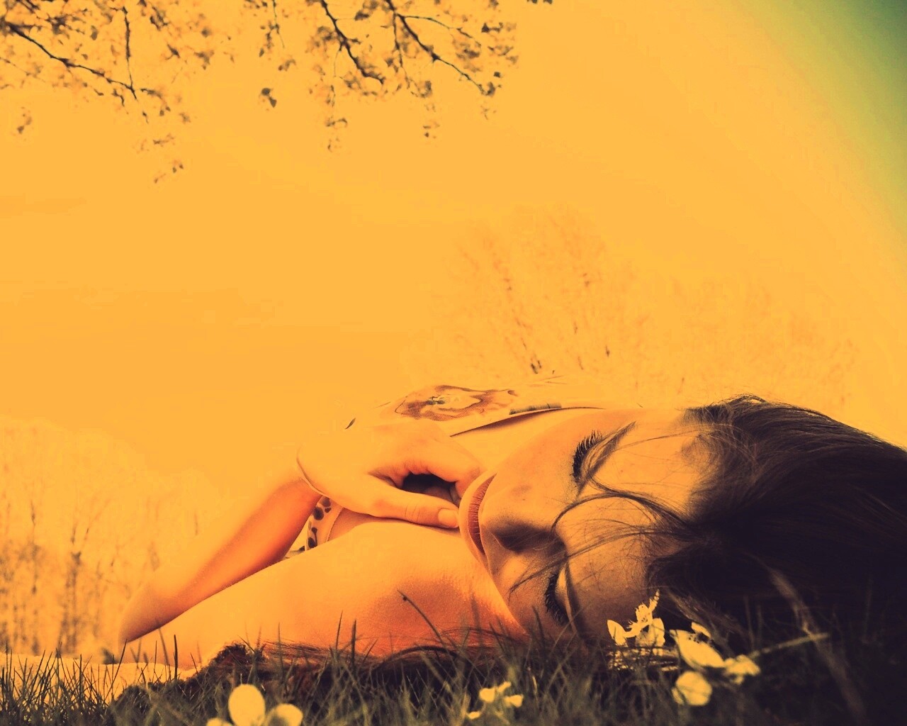 На природе обои