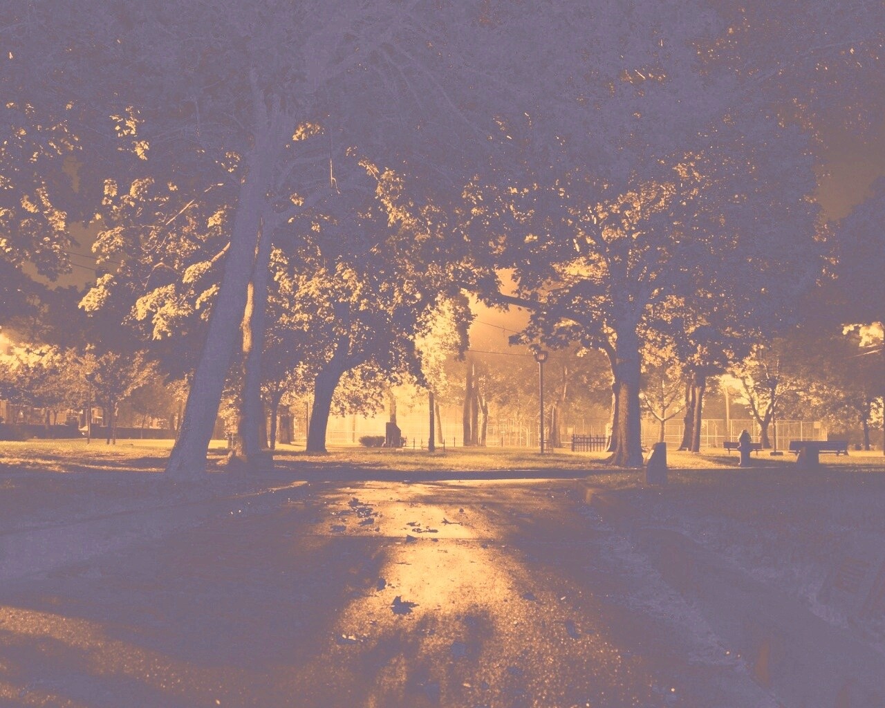 Ночной парк обои