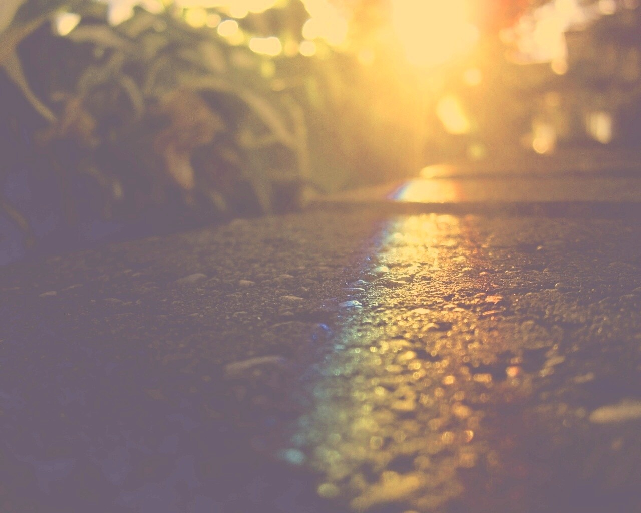 Макро радуга на камне обои