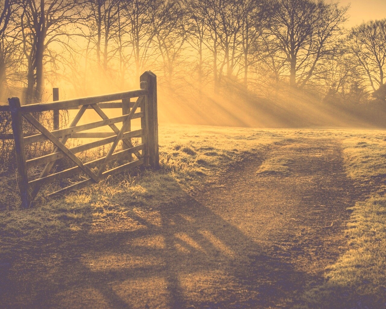 Открытые ворота обои