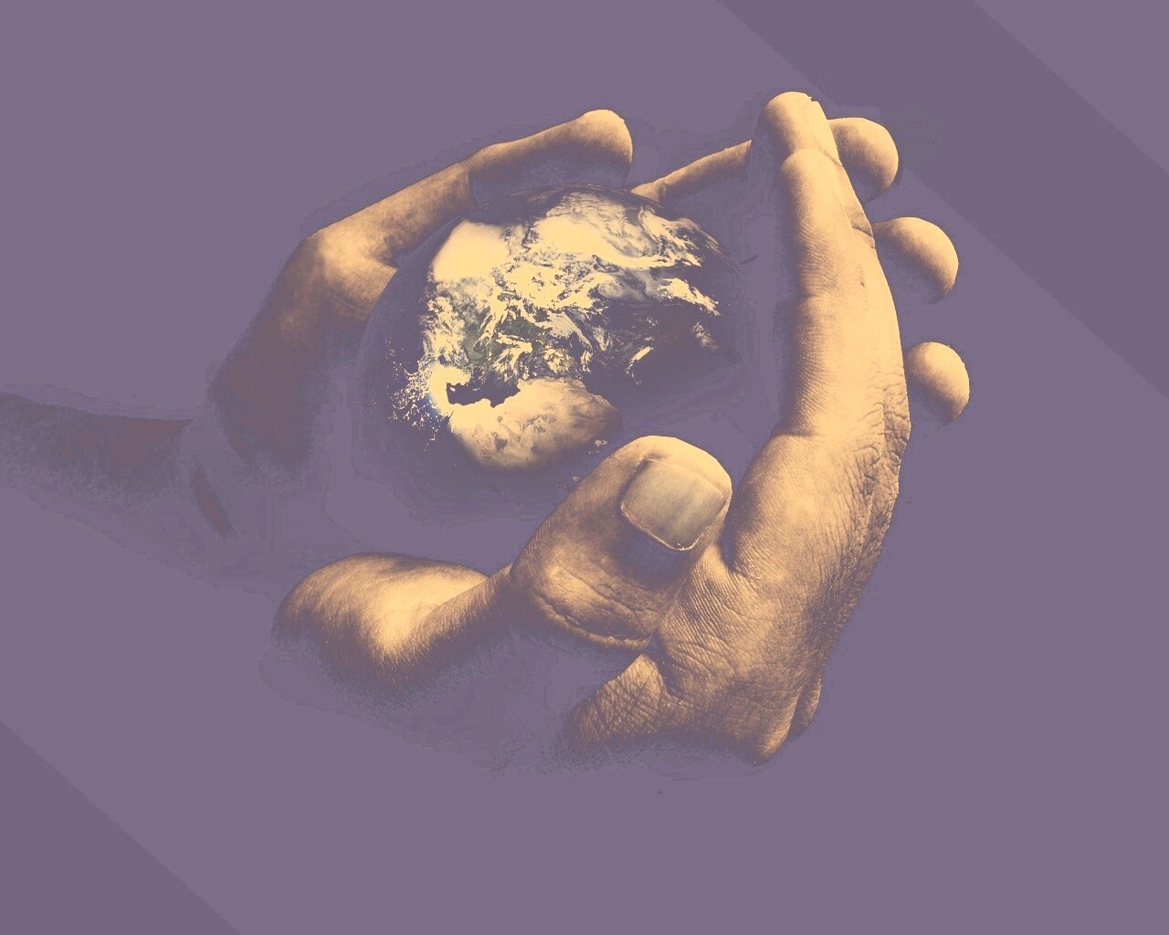 Мир в руках обои