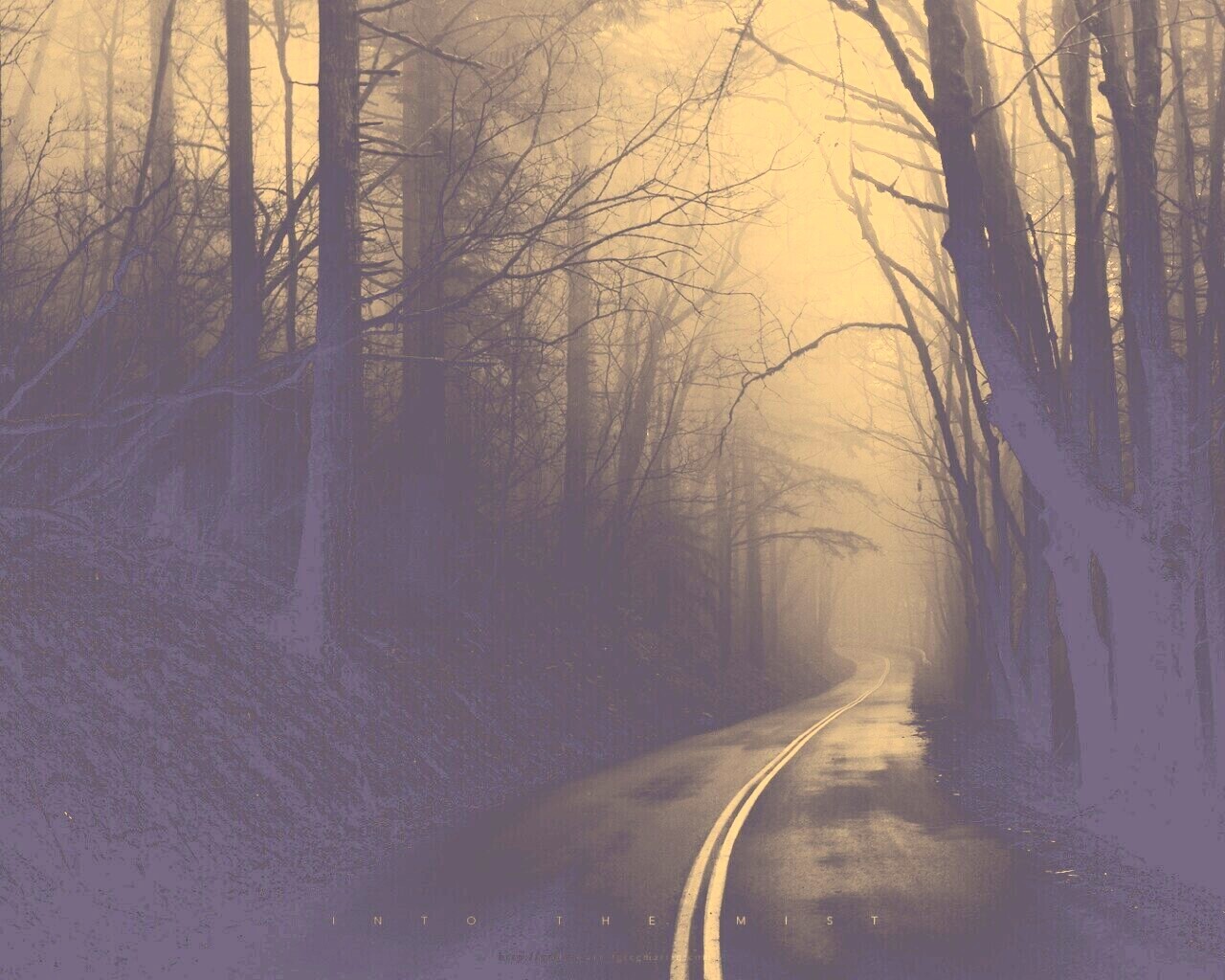 В туман обои