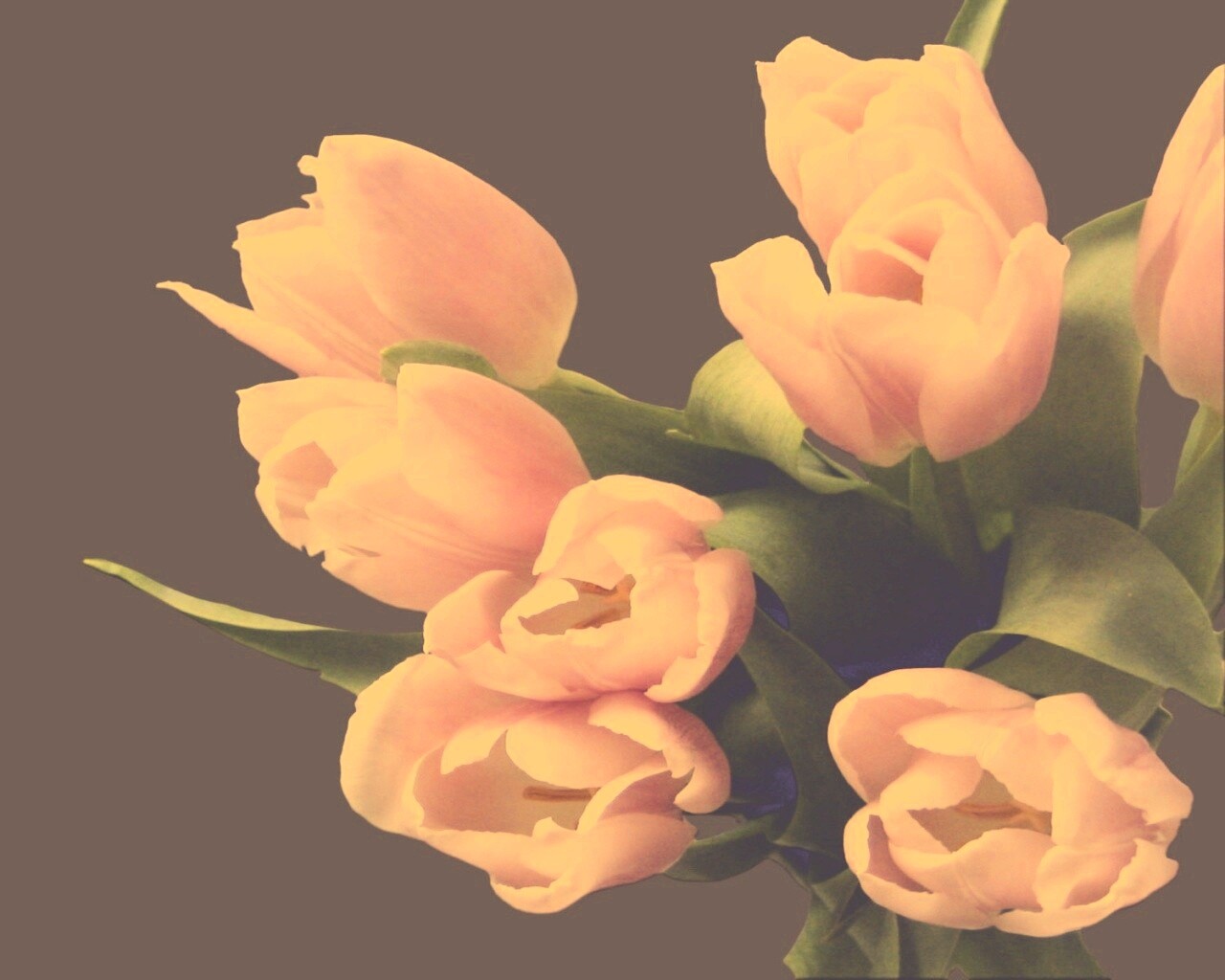 Розовый букет обои