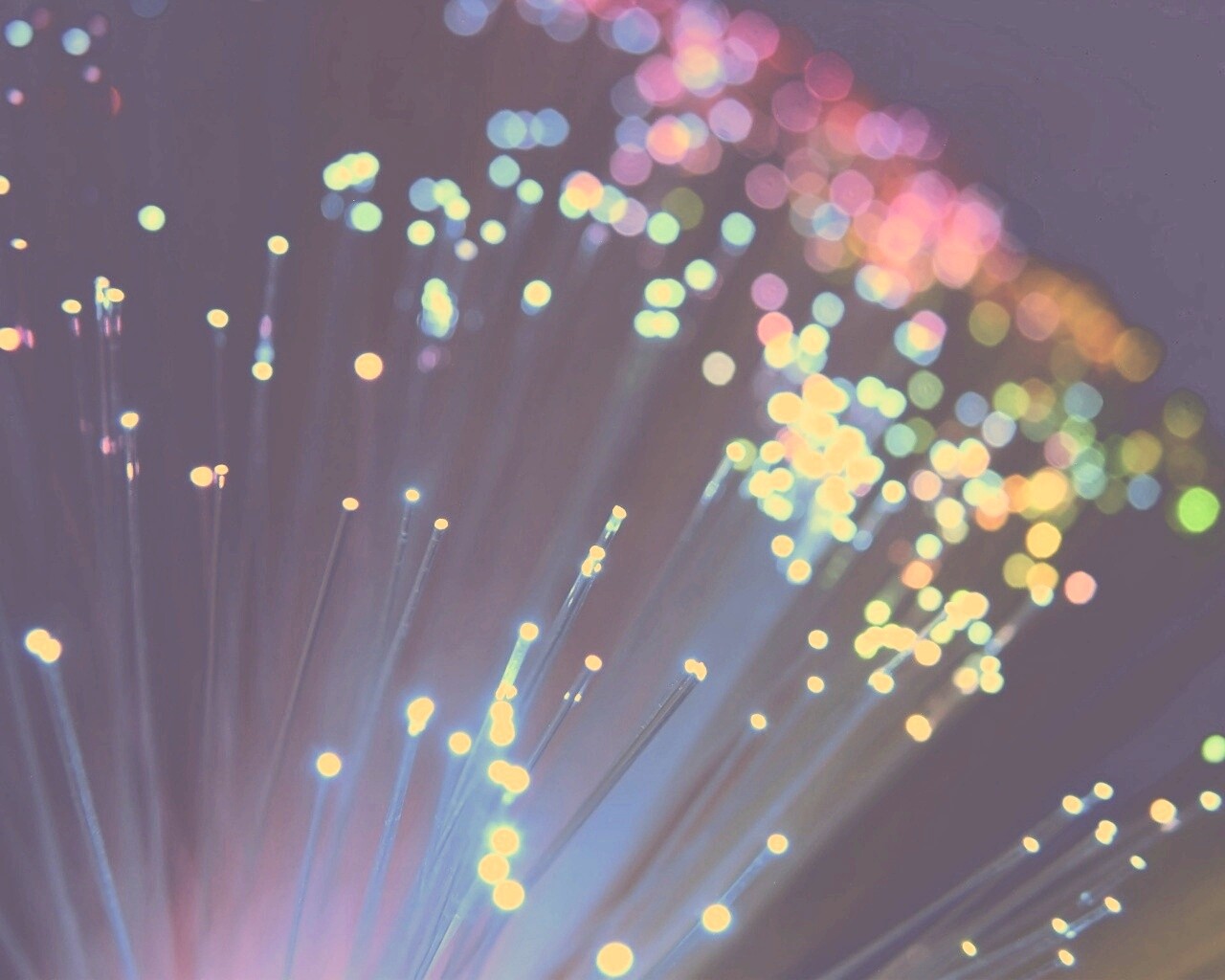 Огоньки на оптоволокне обои