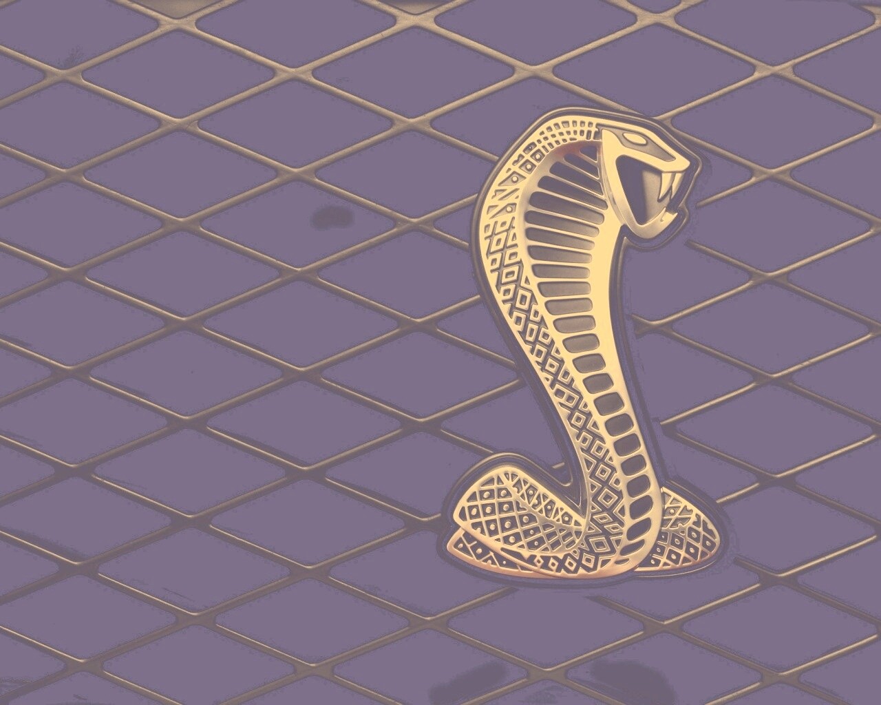 Логотипа Форда Шелби обои