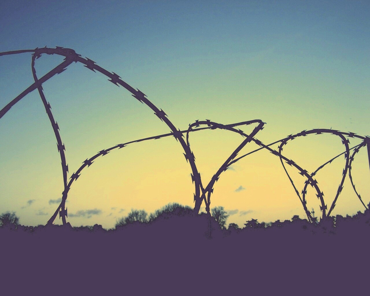 Колючая проволка обои