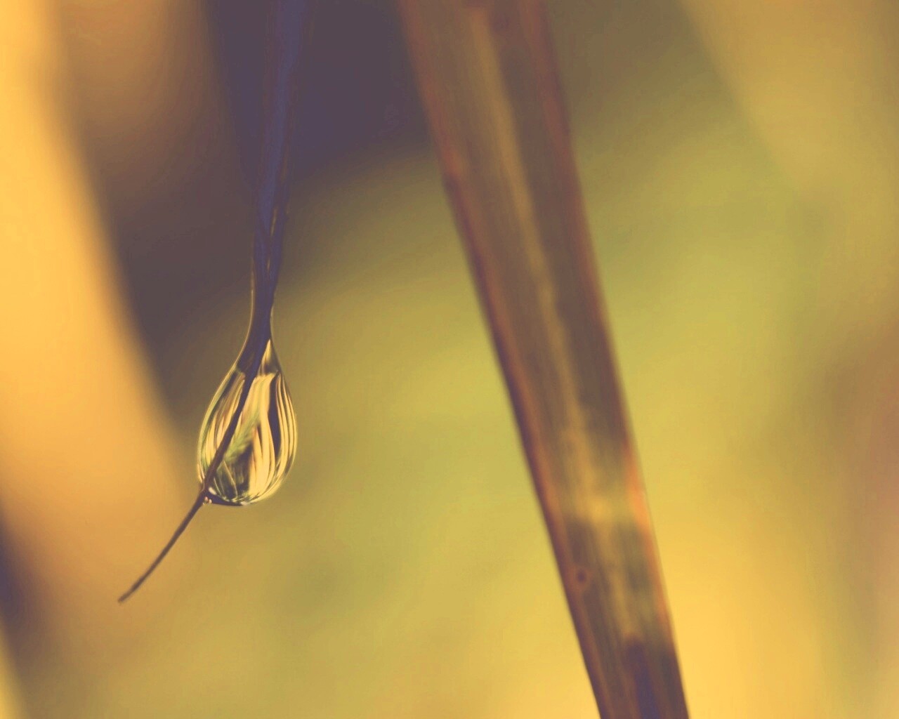 Стекающая капля обои