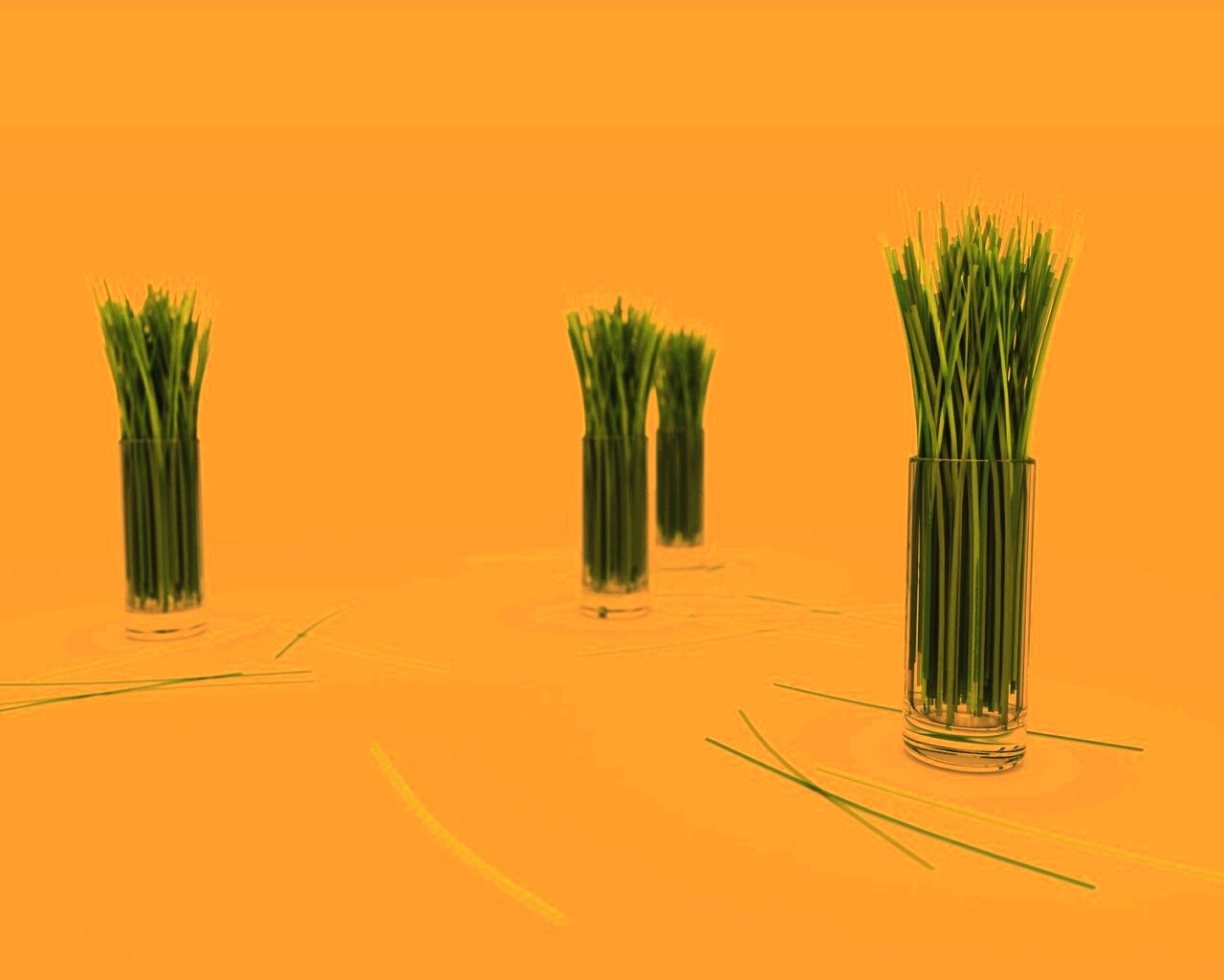 Трава в стакане обои