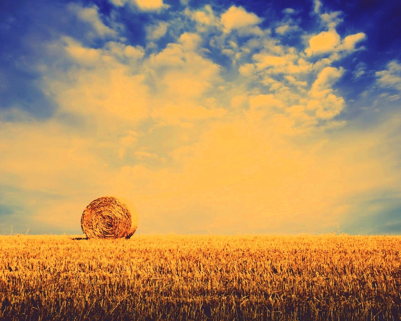 СОломеннынй рулон обои