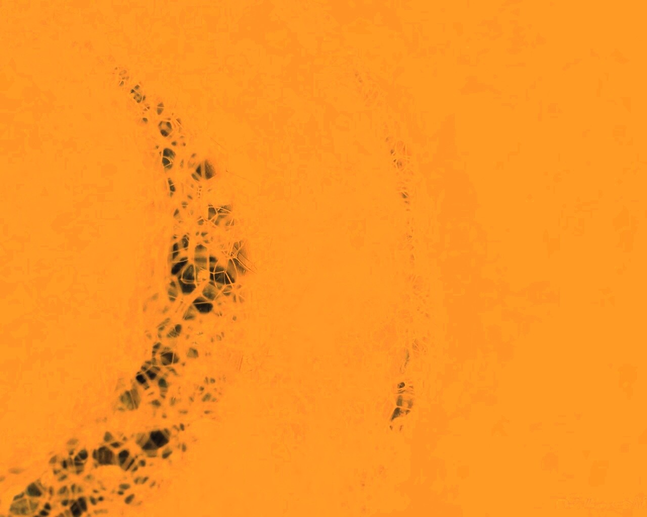 Мыльная пена обои