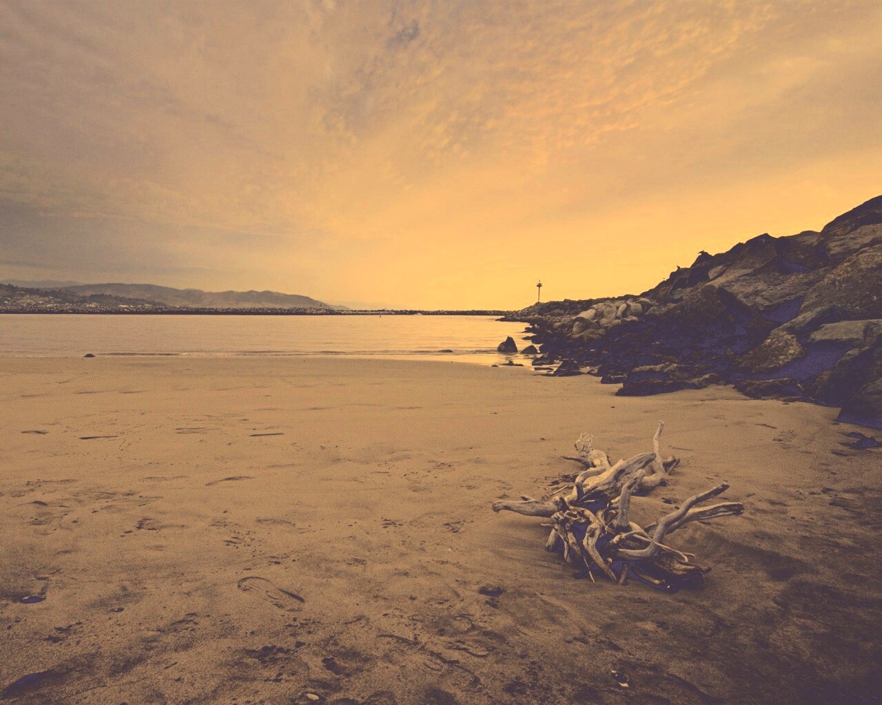 Коряга не берегу обои