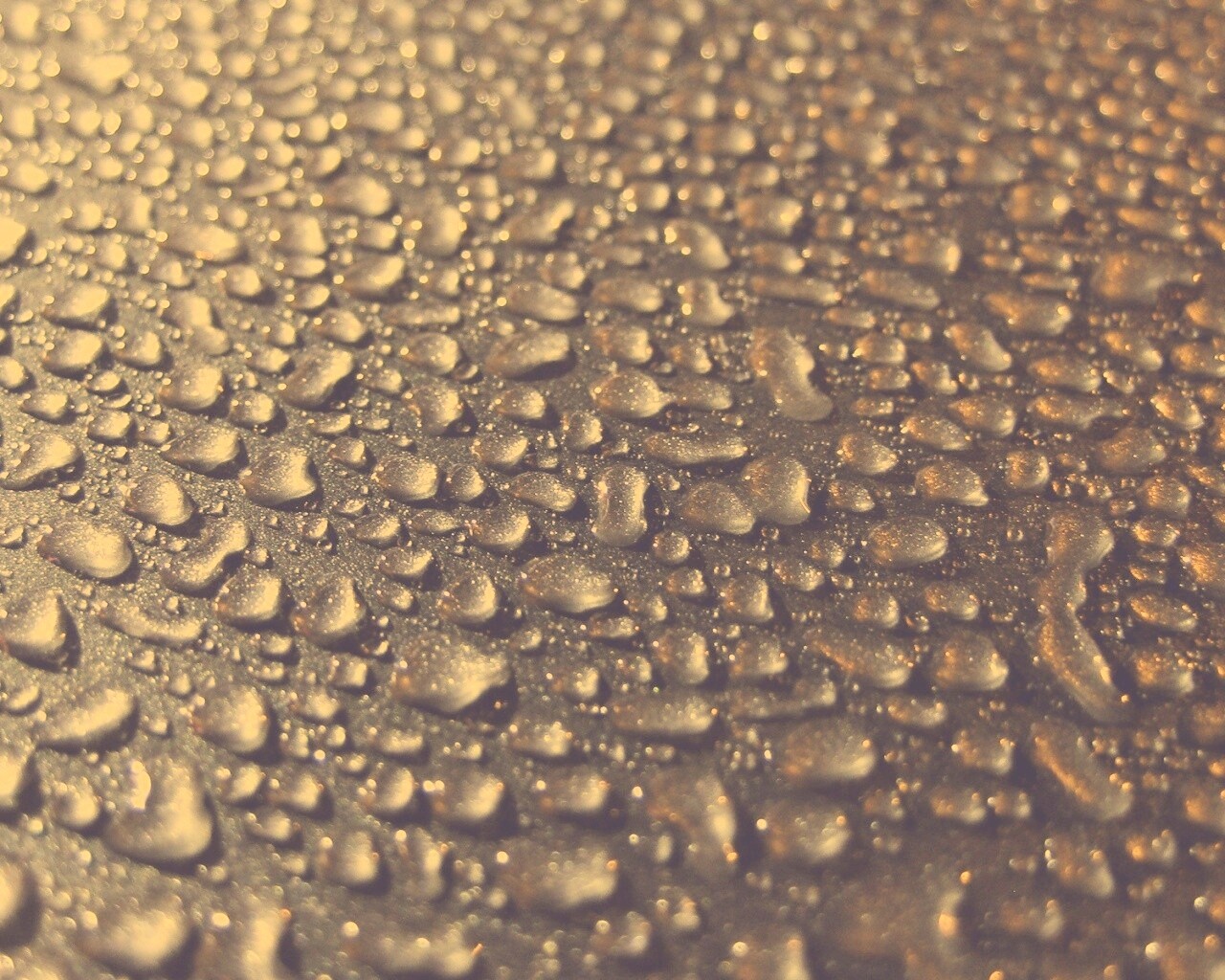 Вода собирается в капли обои