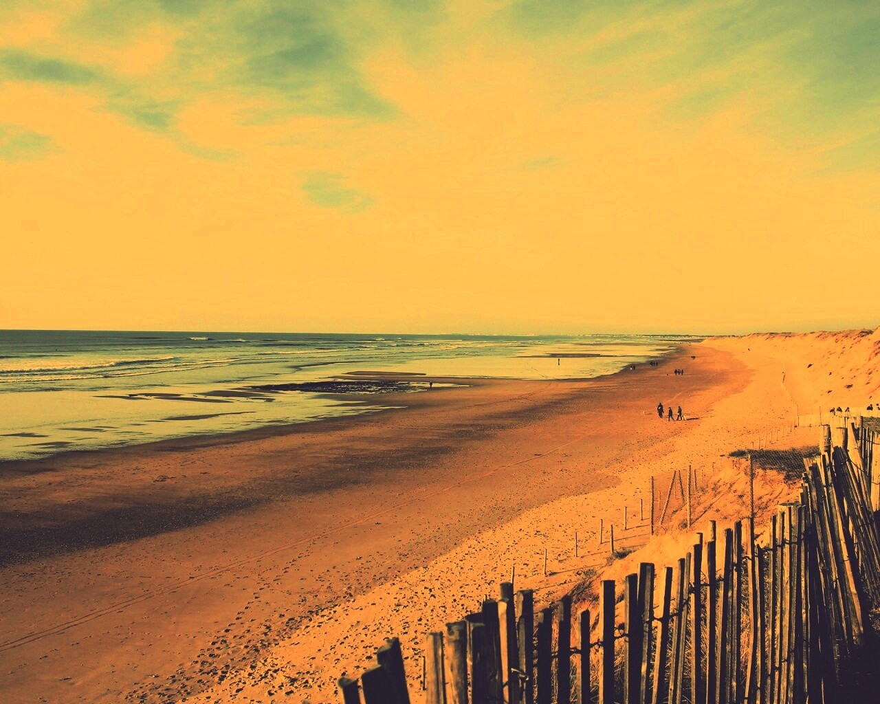 Обмелевший берег обои