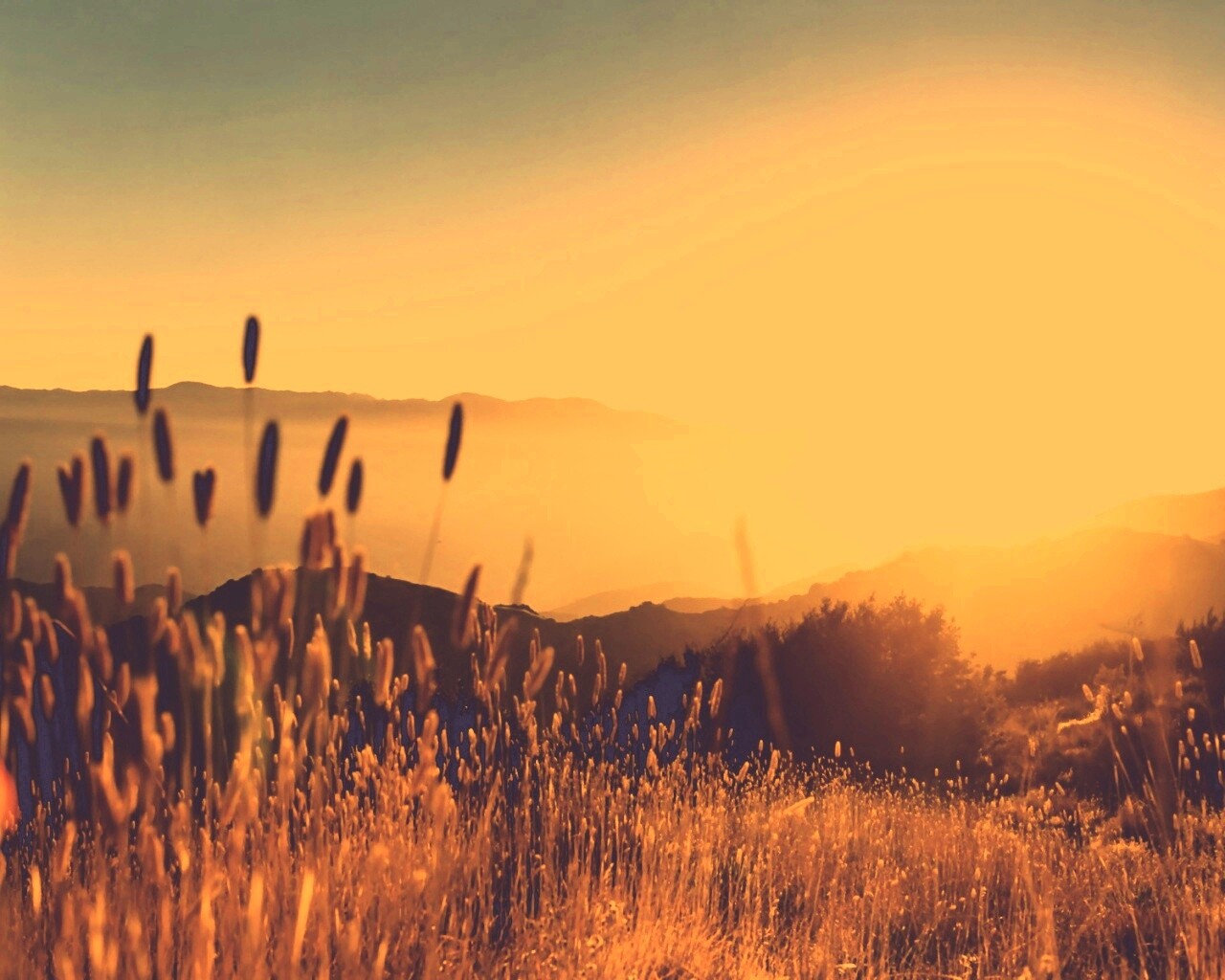 Восход над холмами обои