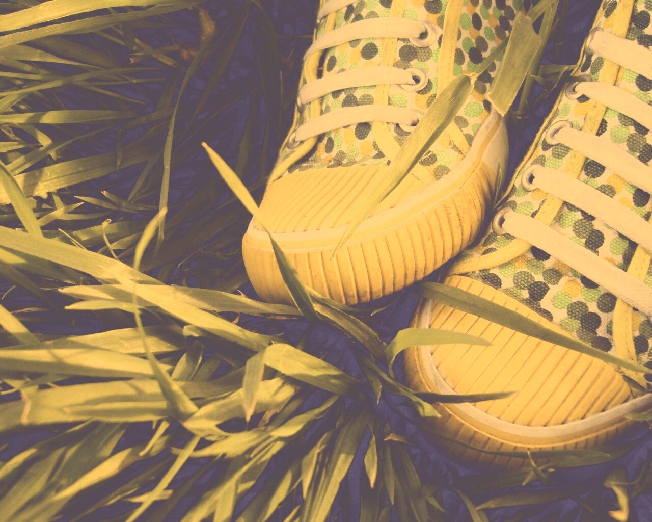 Желтые кеды в горошек обои