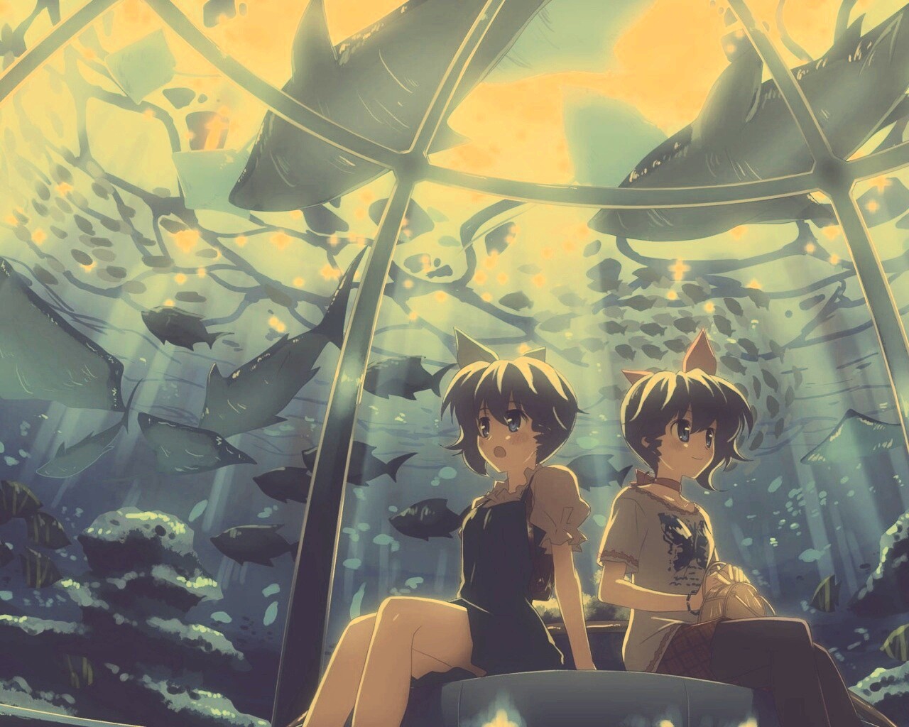 В океанариуме обои