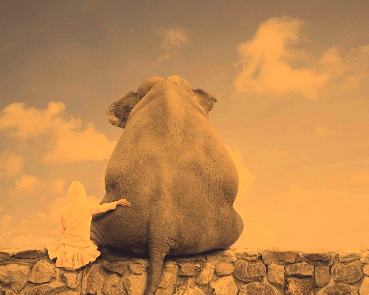 Девочка и слон обои