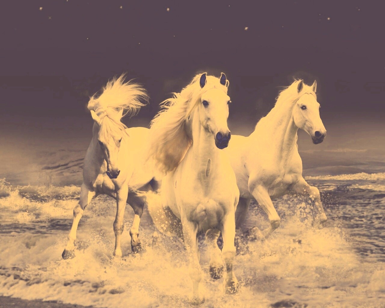 Тройка конец в море обои