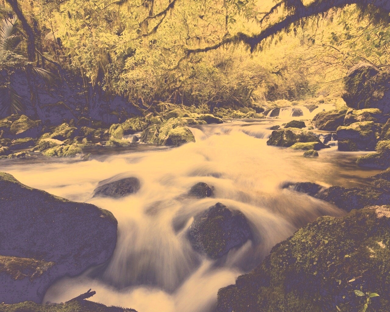 Лесной руче обои