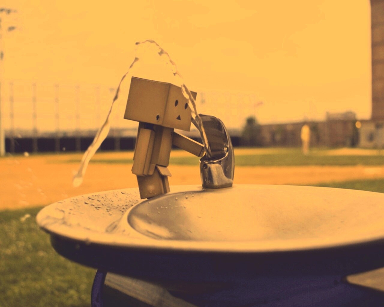 Дандо пьет в воду из фонтанчика обои