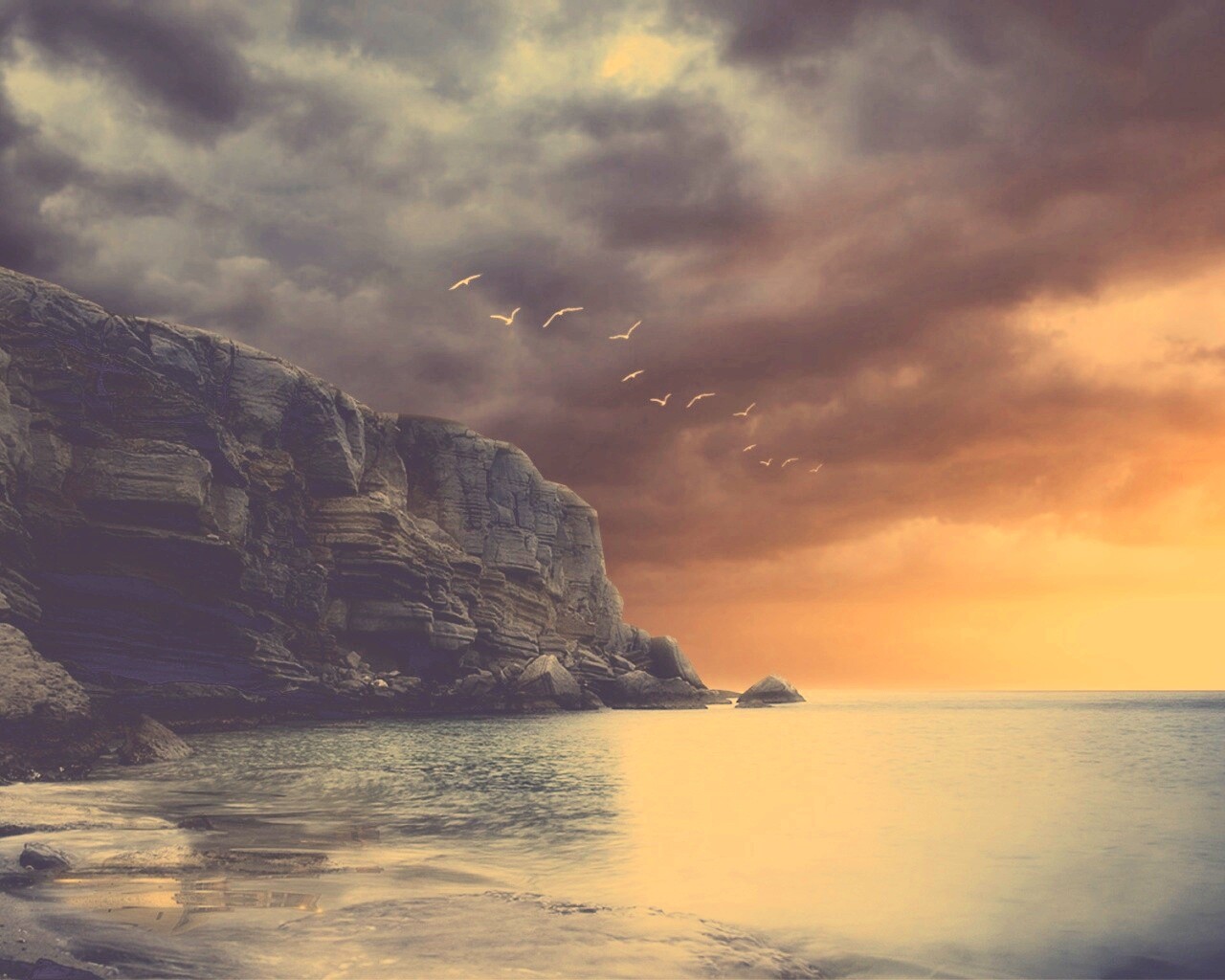 Чайки над скалами обои