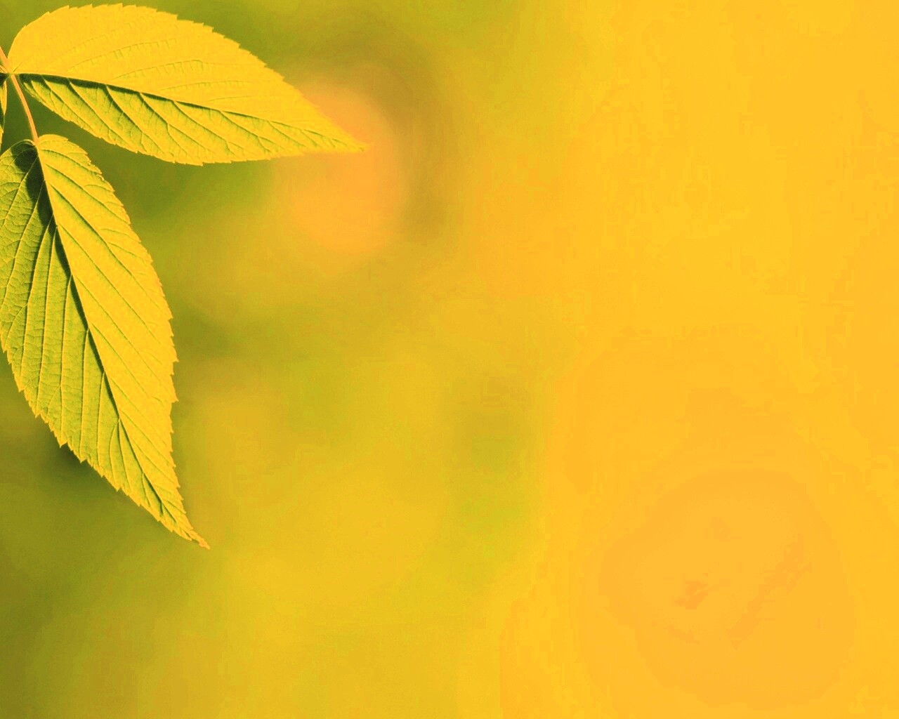 Два листа обои