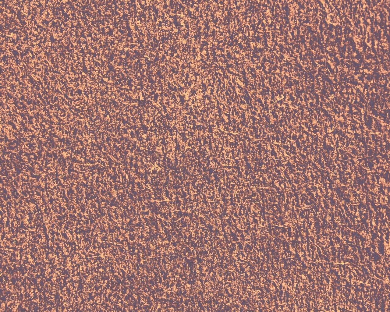 Бордовый ковролин обои