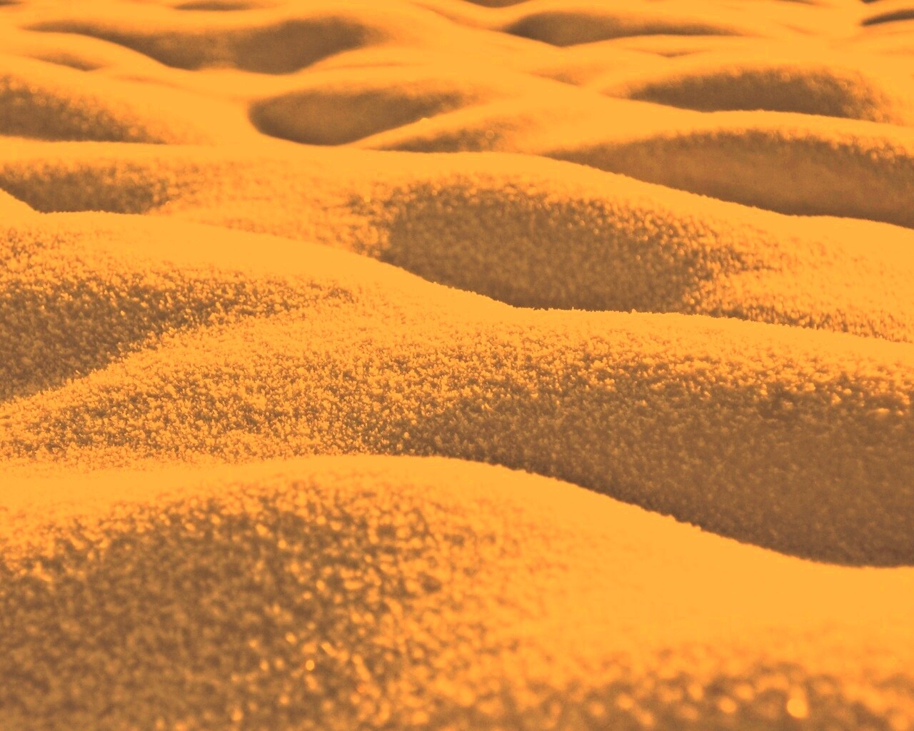 Песчаные бугры обои