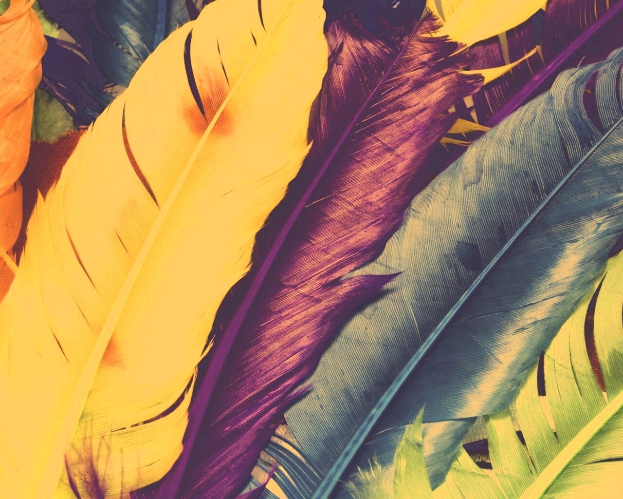 Разноцветные перья обои