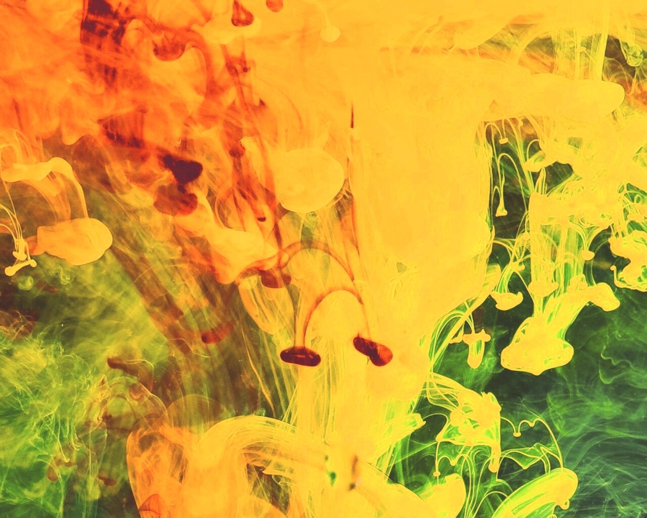 Краска растворяется в воде обои