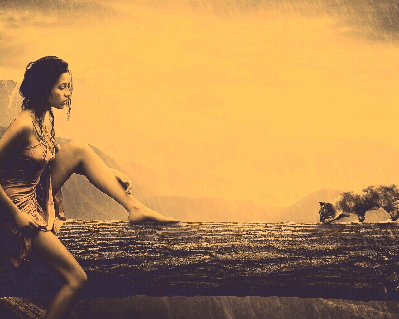 Девушка и кошка обои