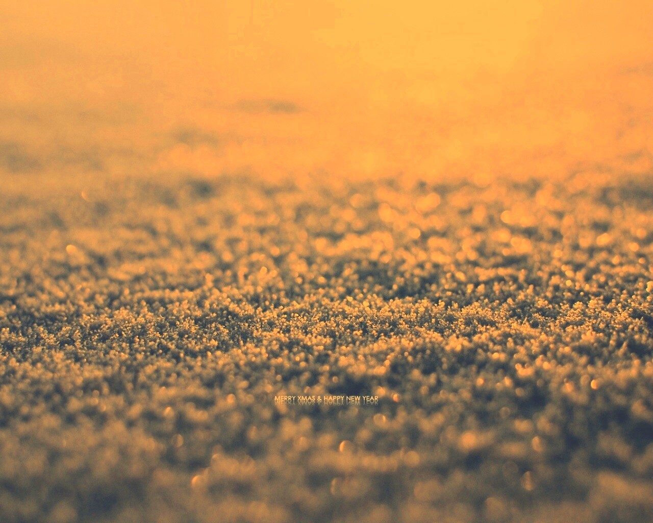 Снежный покров обои