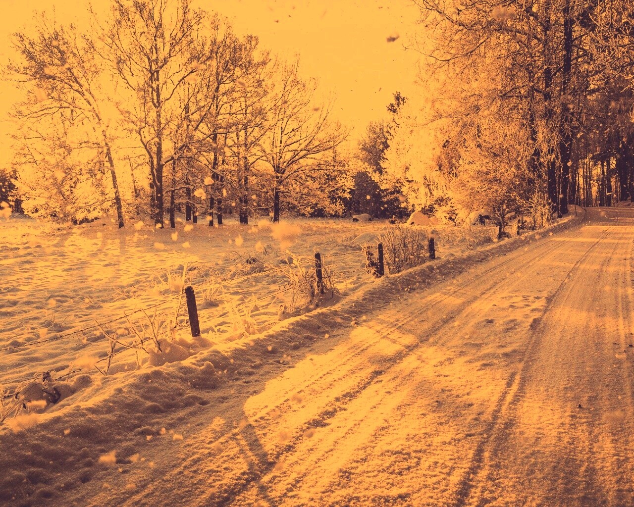 Снежная дорога залитая солнцем обои