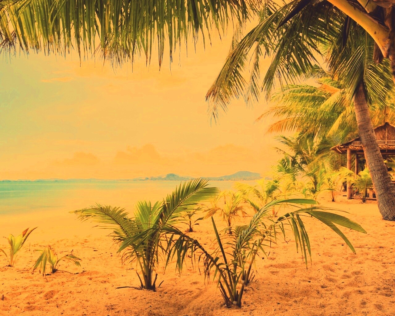 Настоящее лето обои