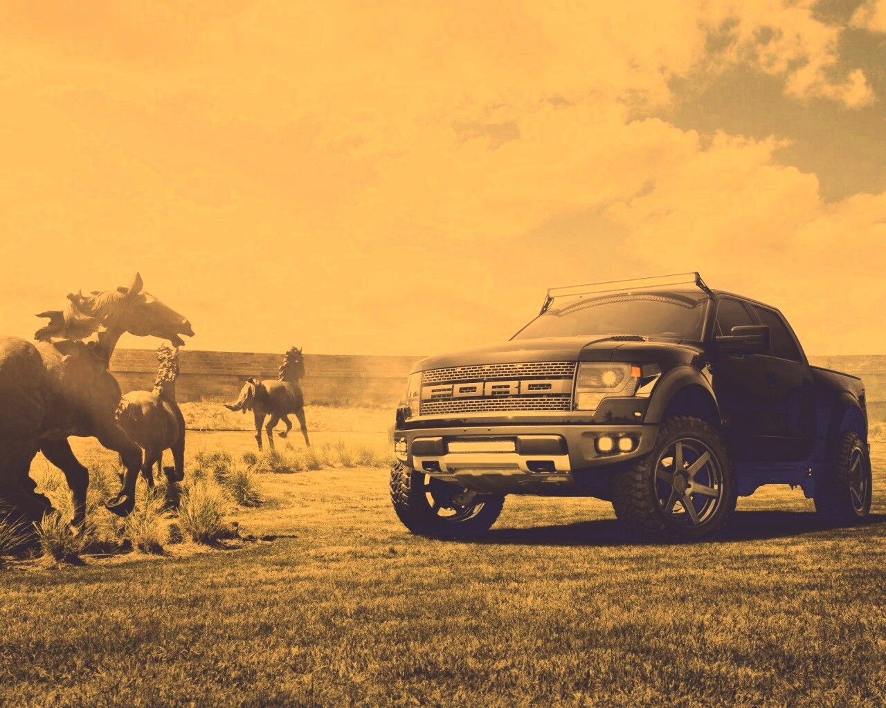 Ford F-150 Raptor обои