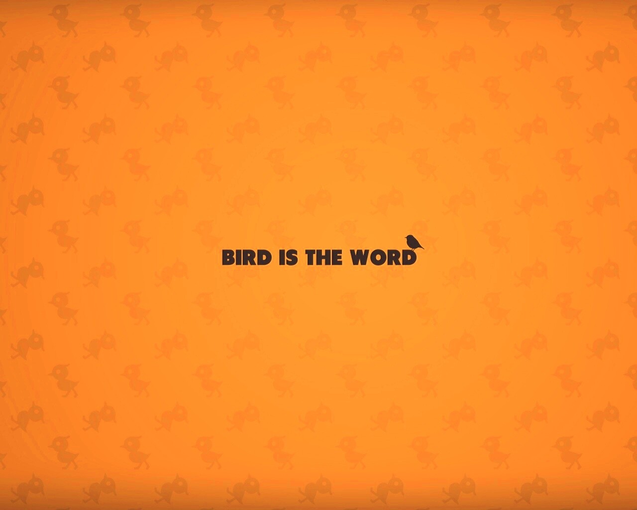 Bird is the word обои
