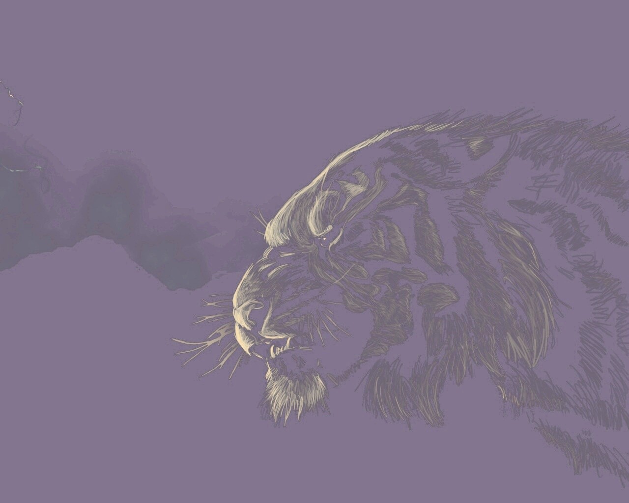 Рисунок грозного тигра обои