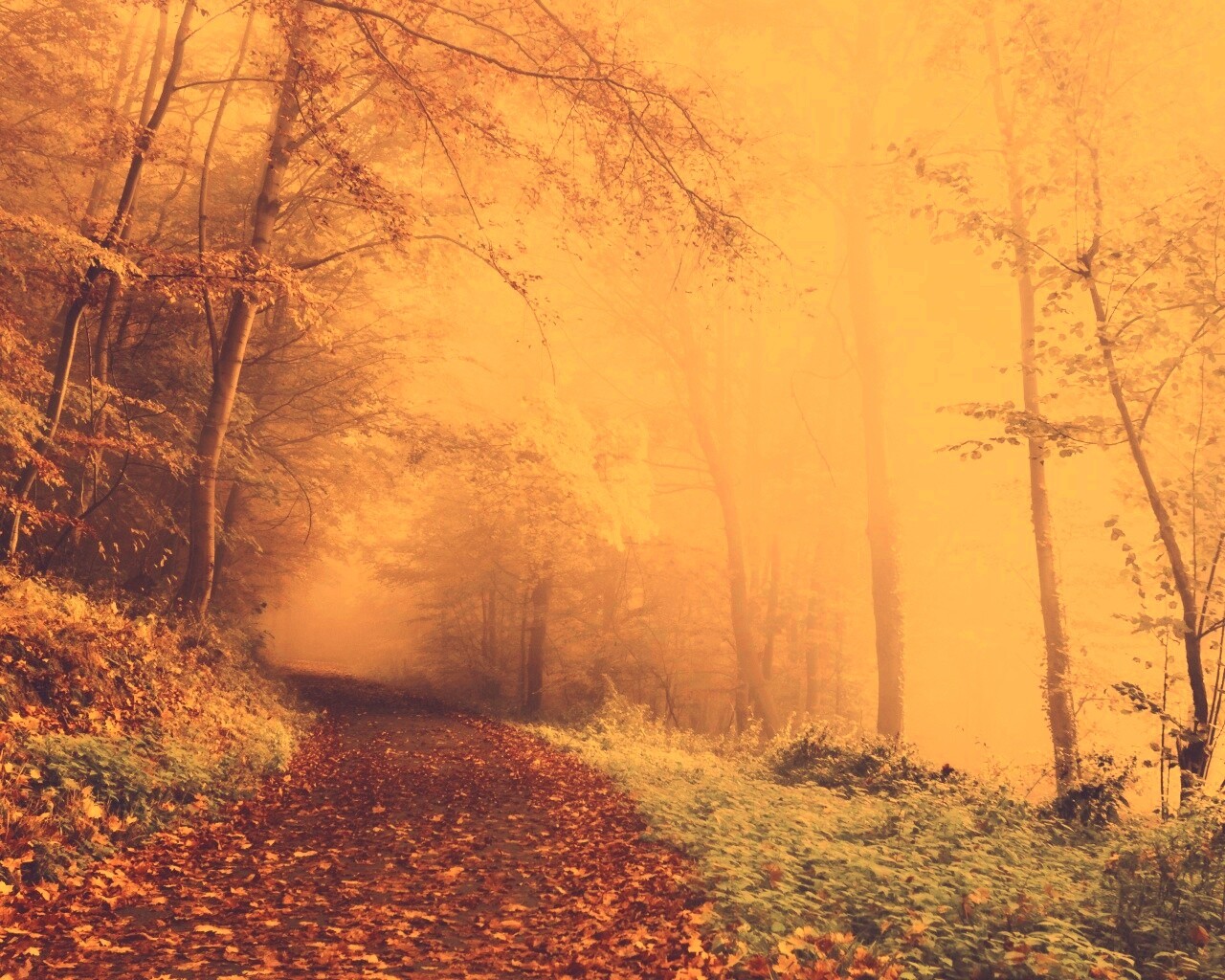 Осенний мистический пейзаж обои