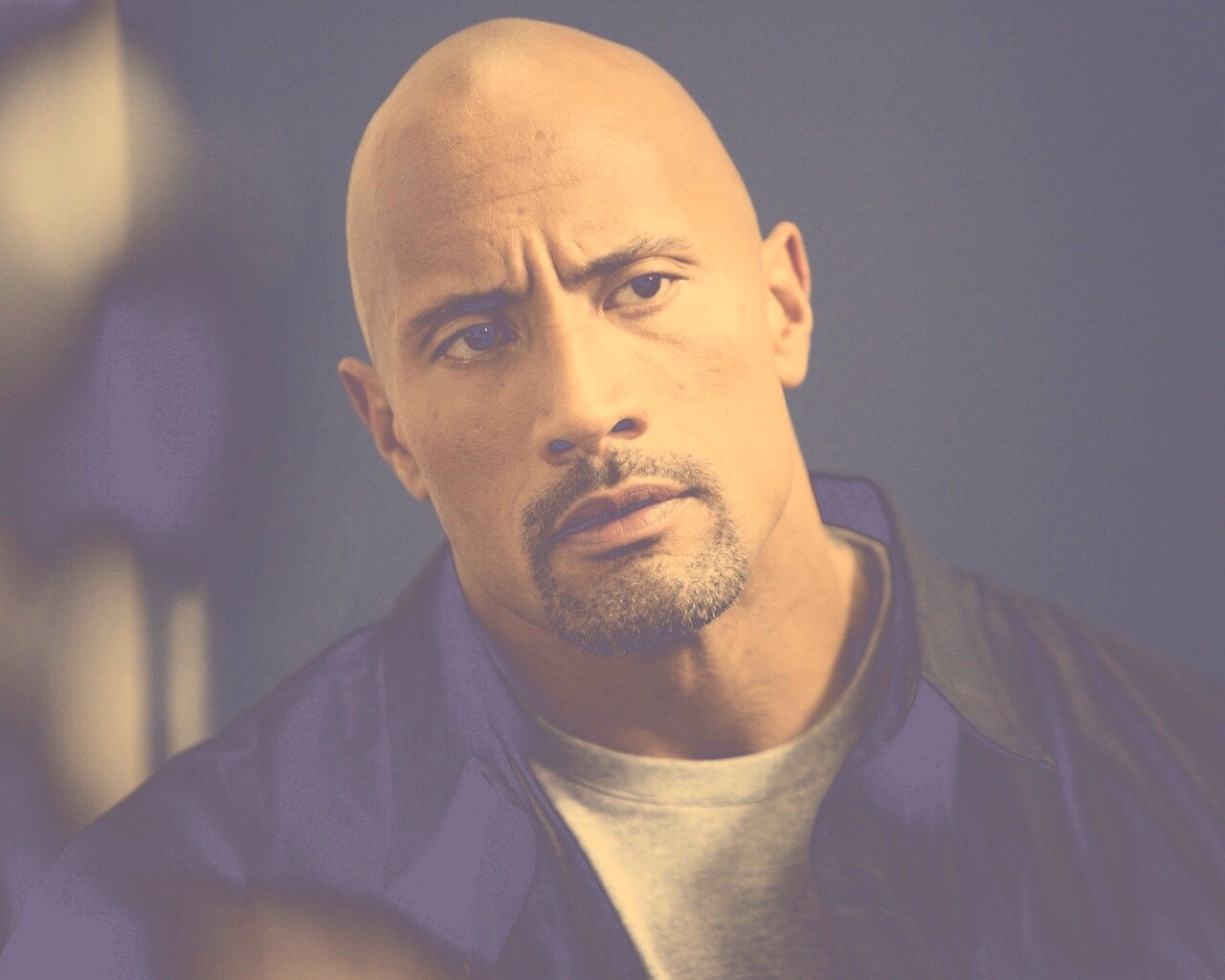 Dwayne johnson, Actor, Bald, Hair, Celebrity обои