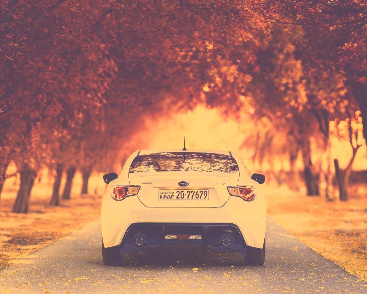 Субару на осенней дороге обои