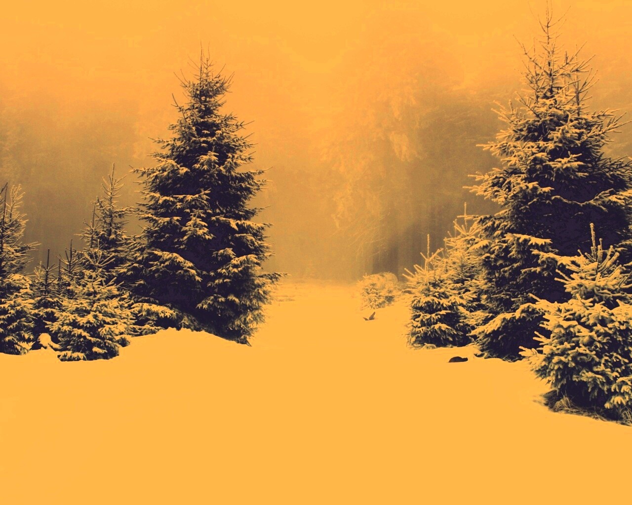 Ёлки в сугробах обои