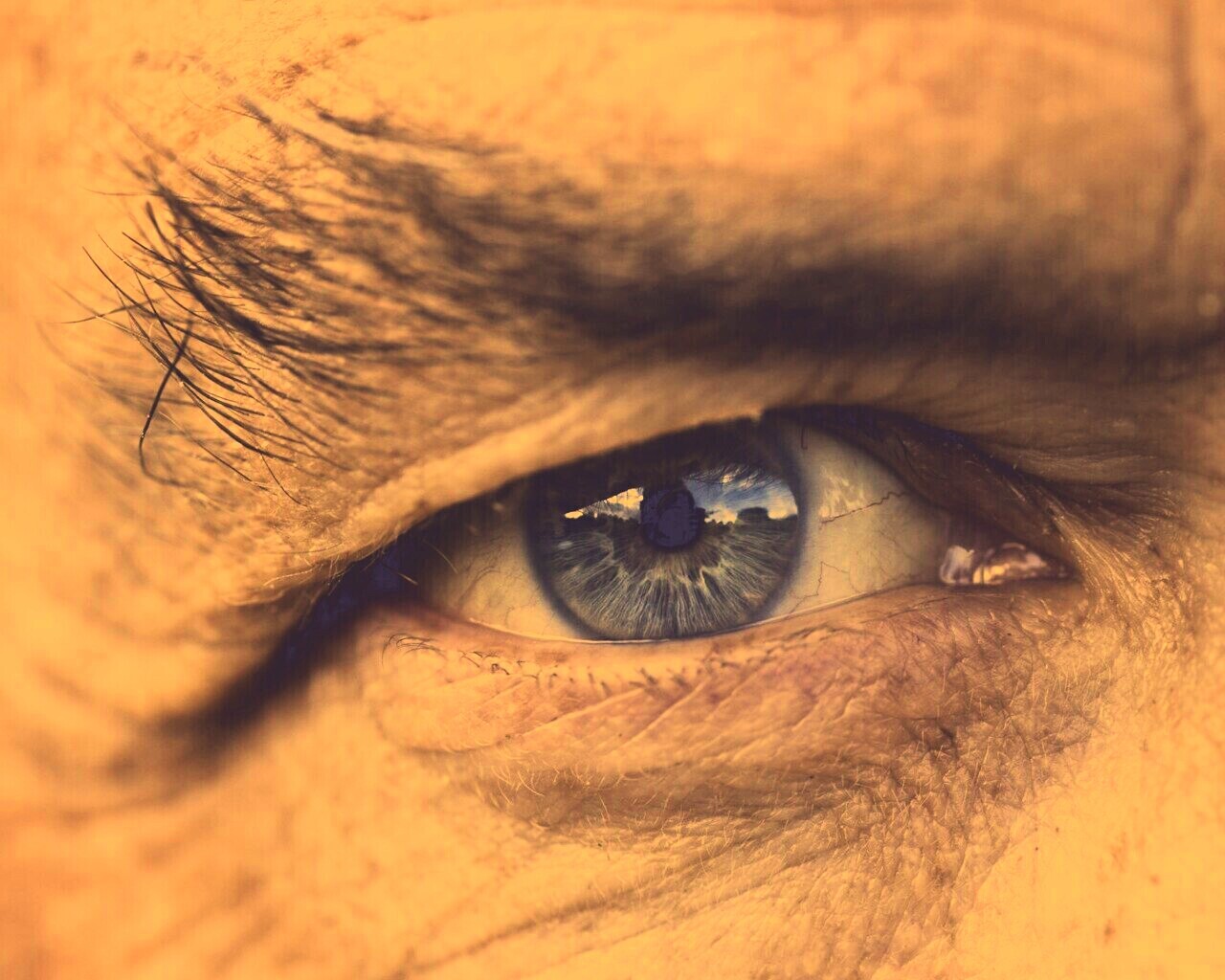 Глаз пожилого человека обои