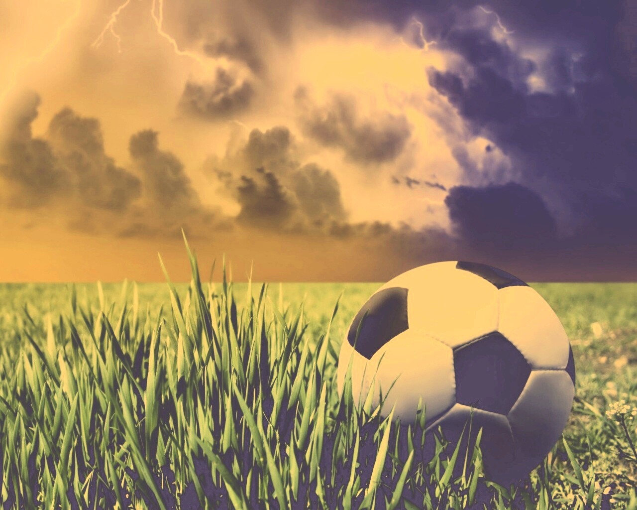 Футбольный мяч на газоне обои