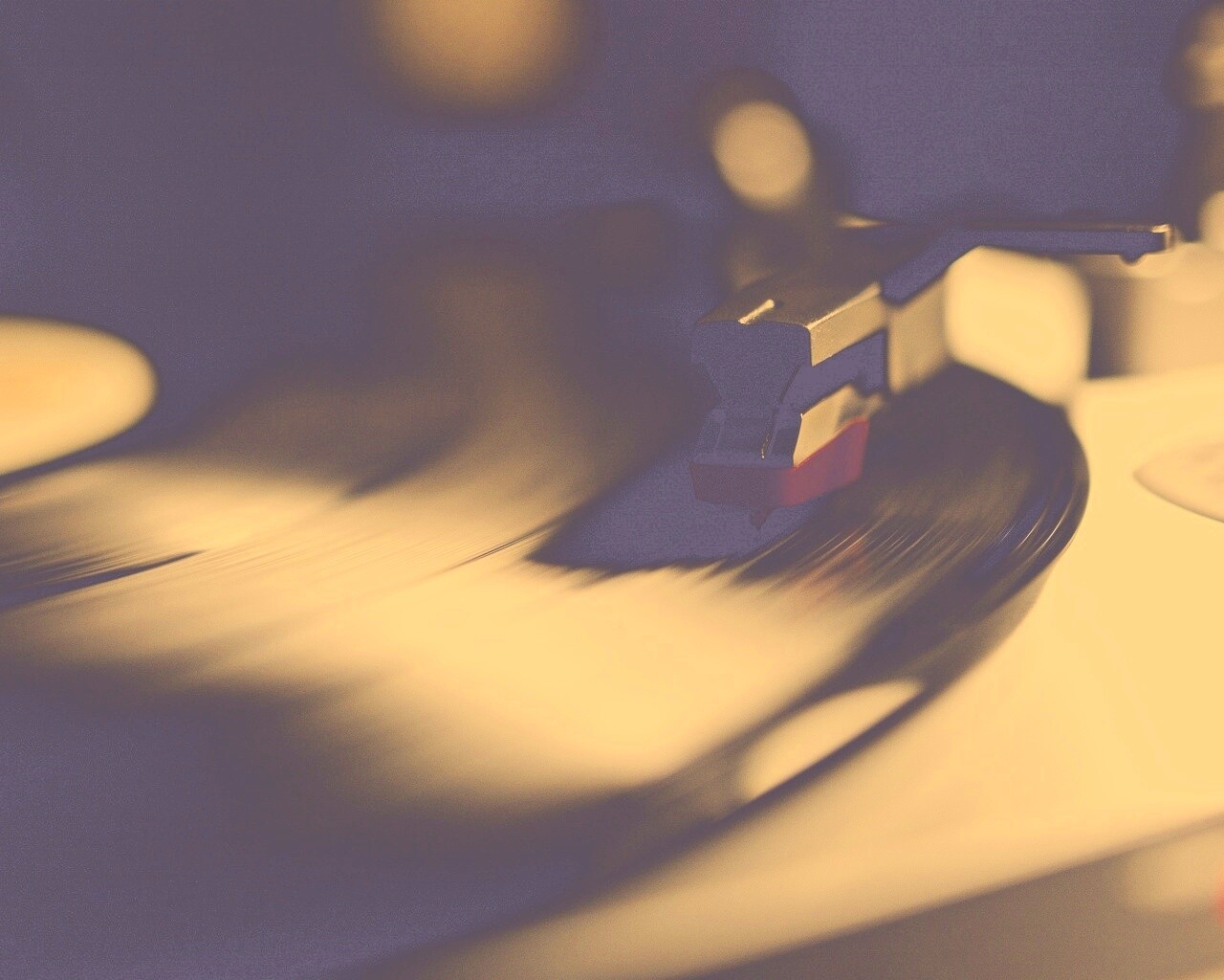 Пластинка обои