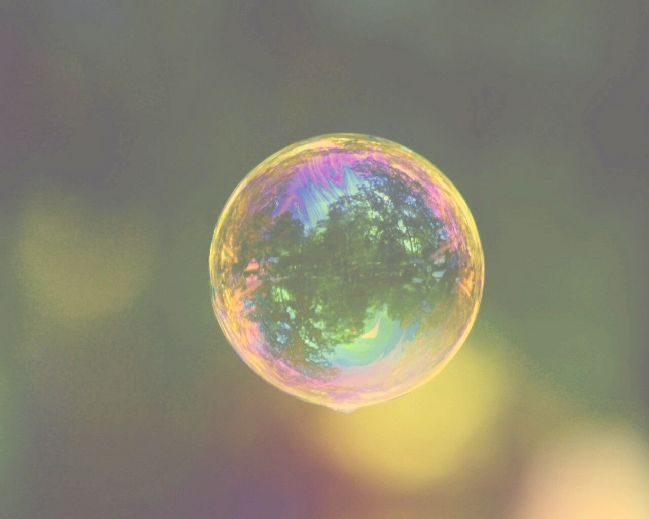 Мыльный пузырь обои