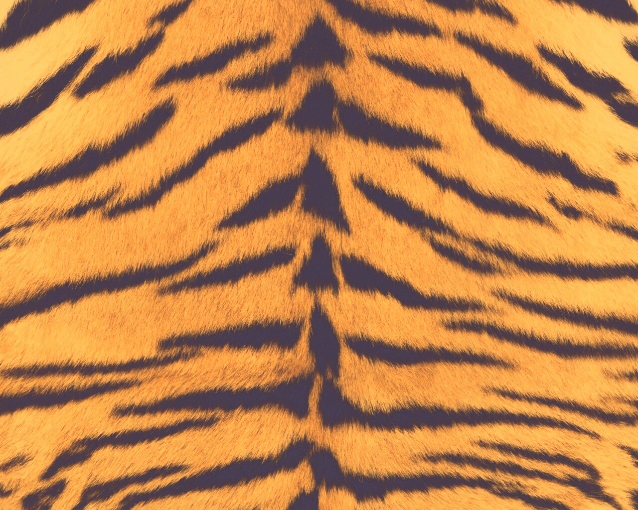 Тигриная шкура обои