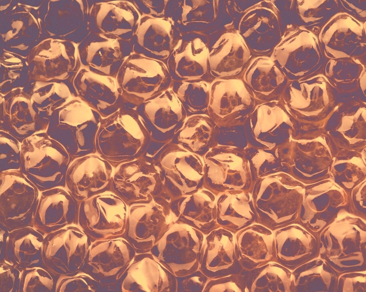 Красная икра обои